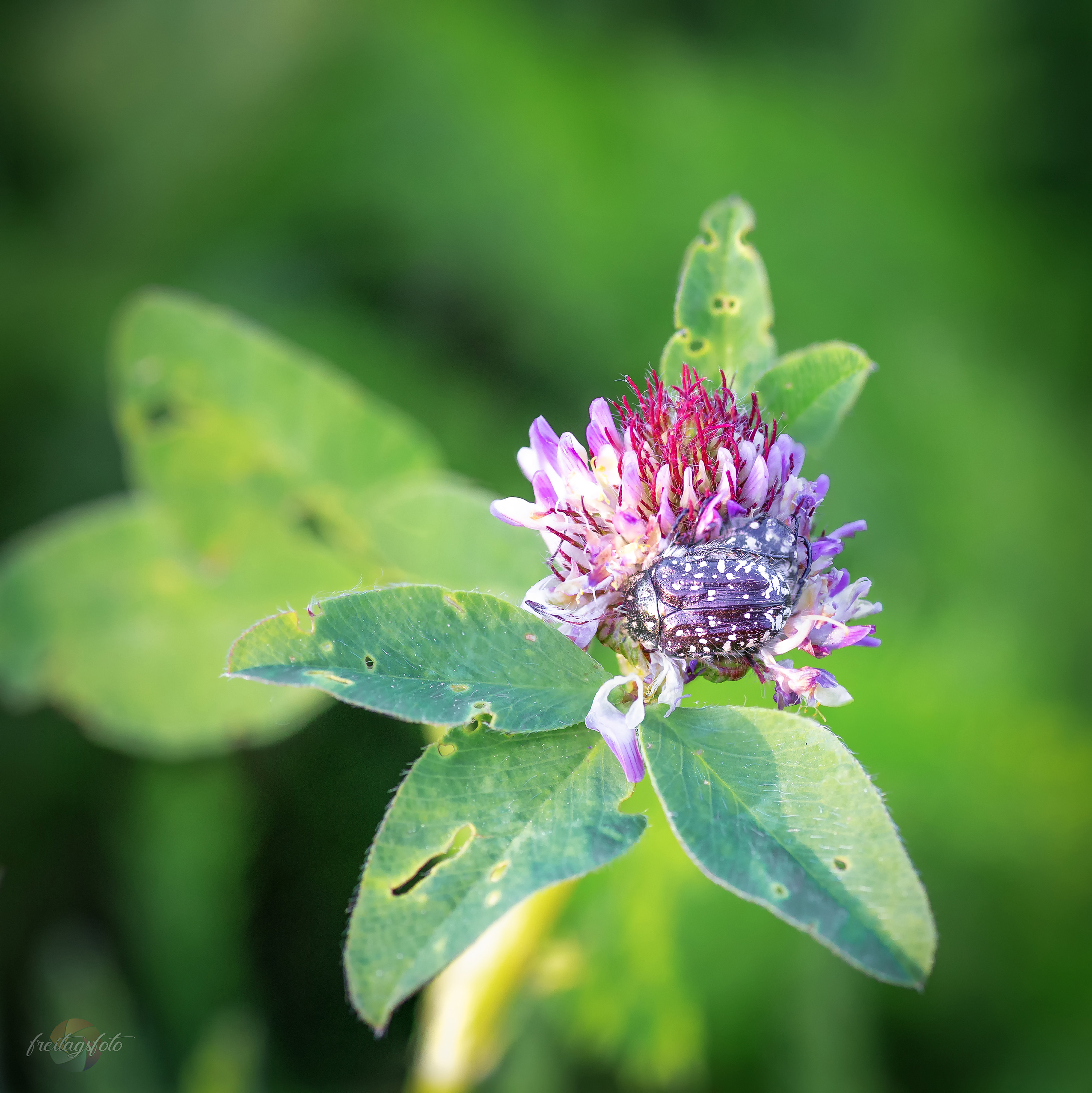  MG 8314 Bearbeitet Kopie